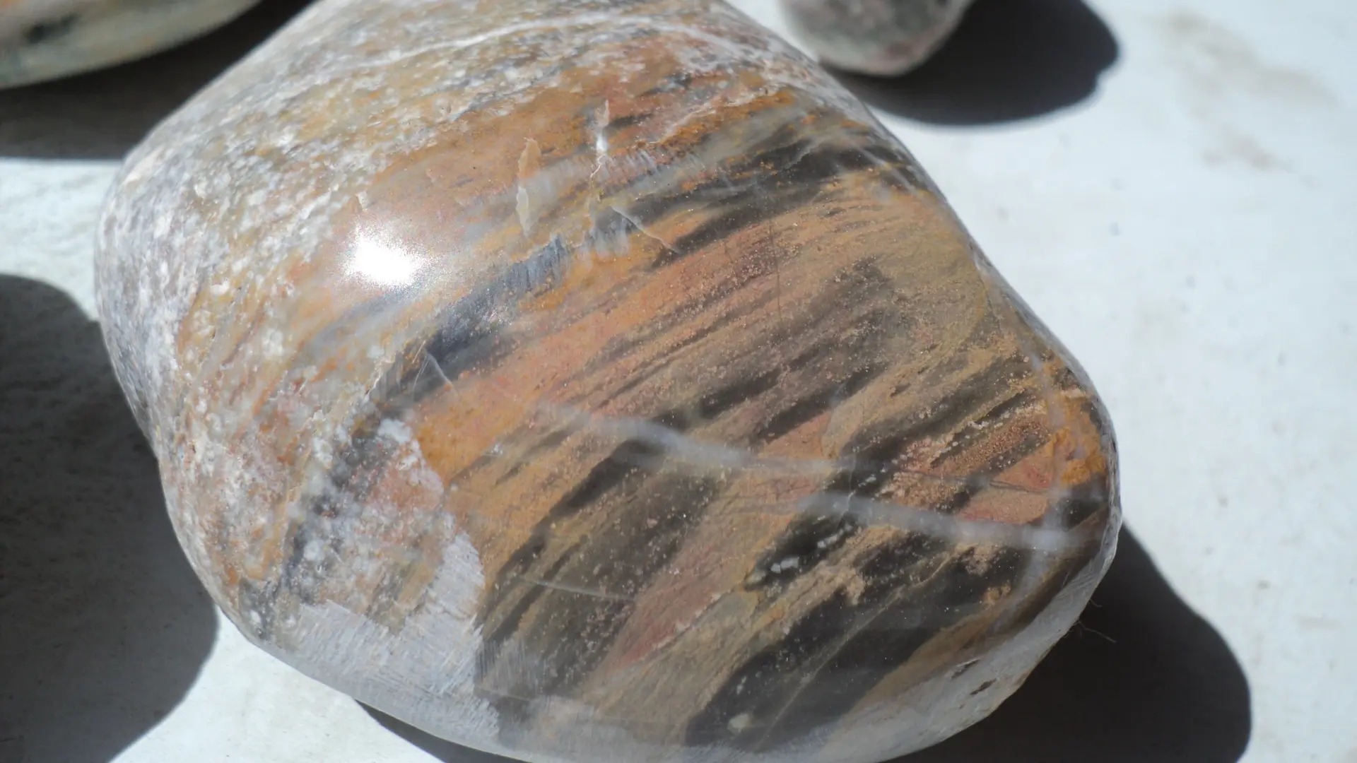 La Ferme de Téthys - Art et Géologie CROTS