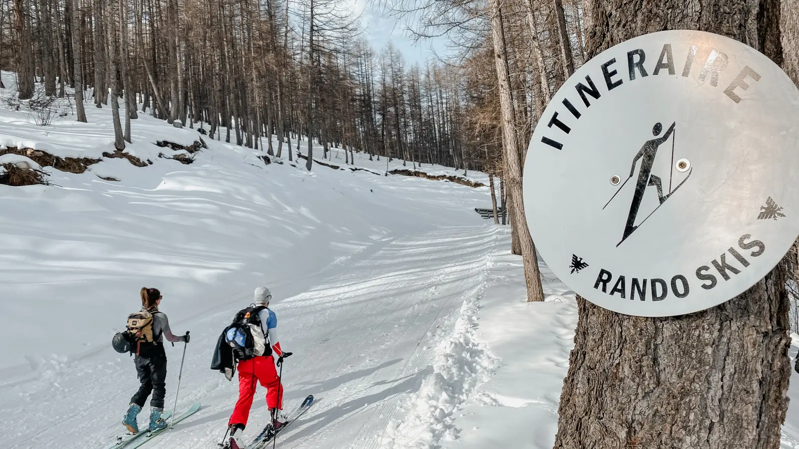 Itinéraire Brinzeï ski de randonné