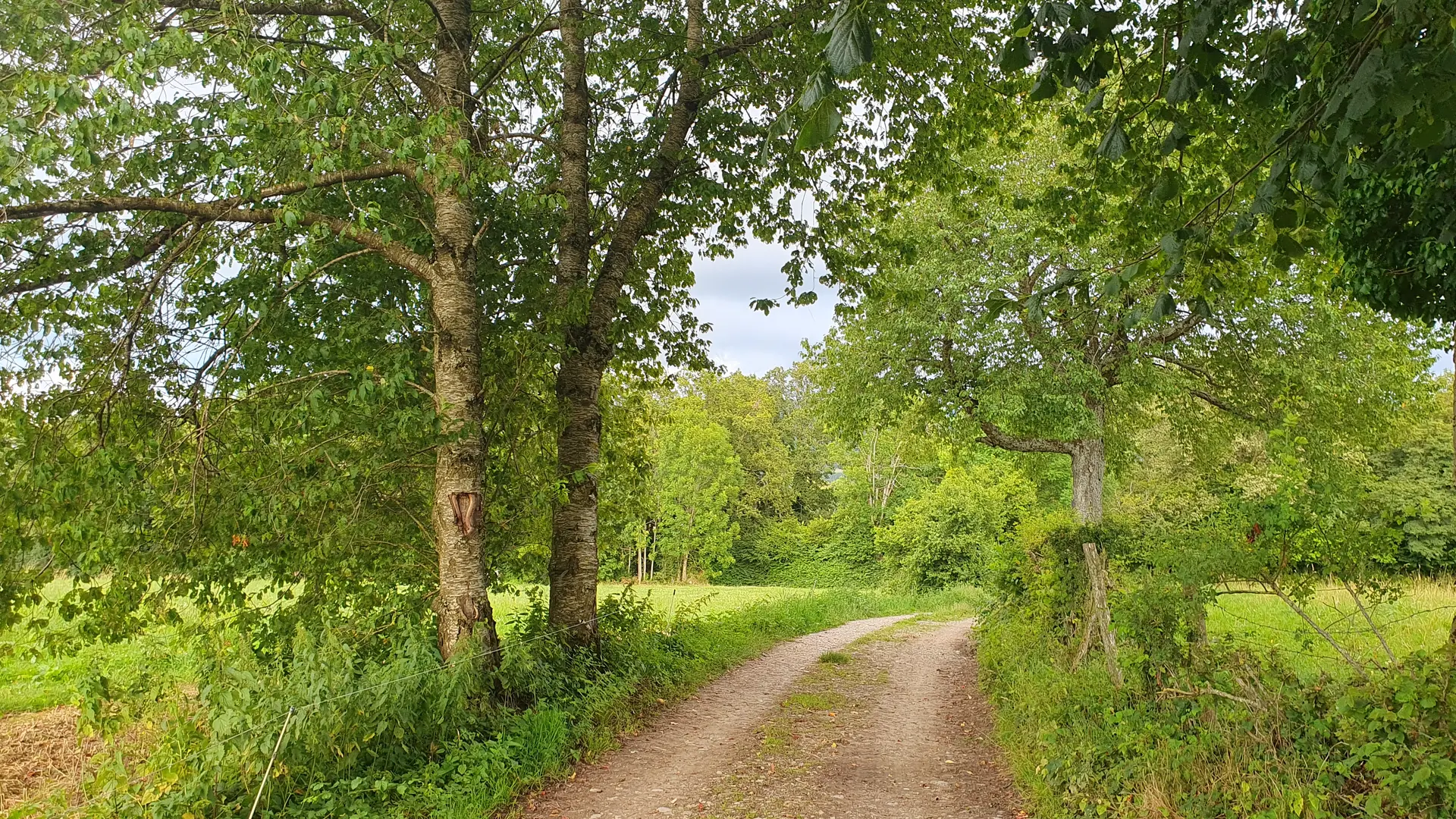 VTT Plateau de Gavot