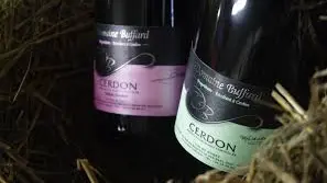 Bouteille Cerdon Buffard
