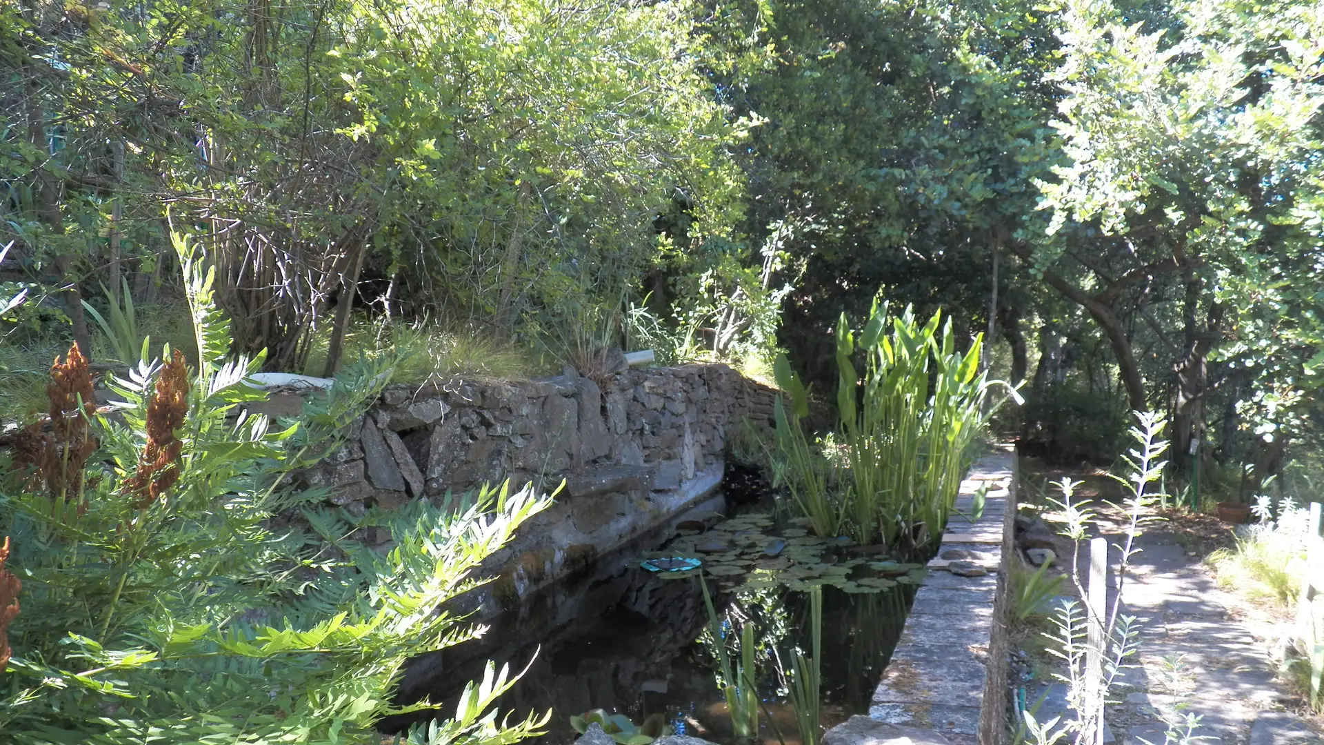 Bassin du jardin remarquable L'Hardy à Gassin - https://gassin.eu