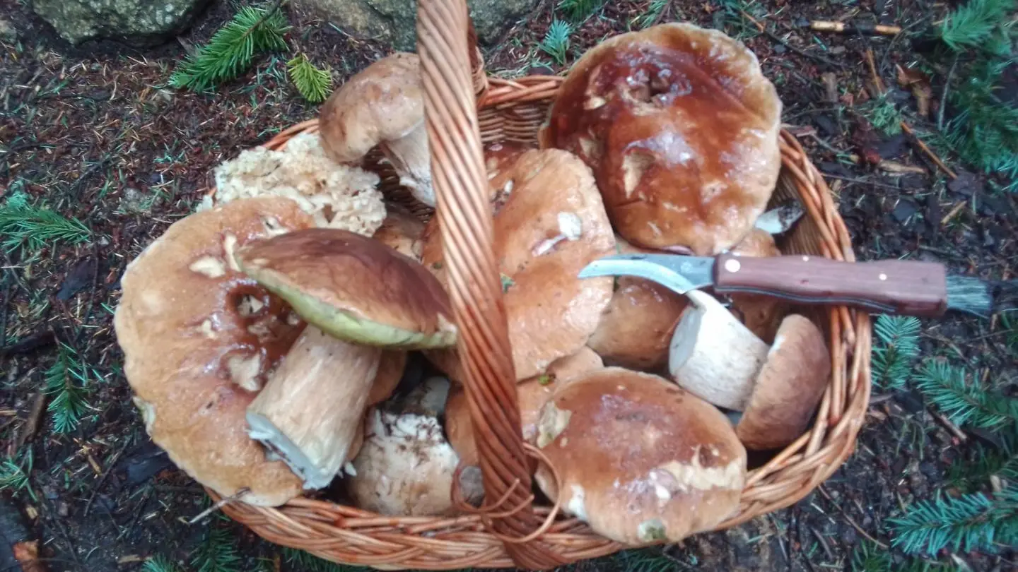 L'automne au gite des Matrus