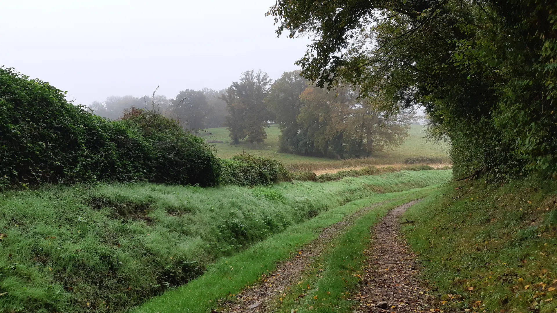 Villemotier