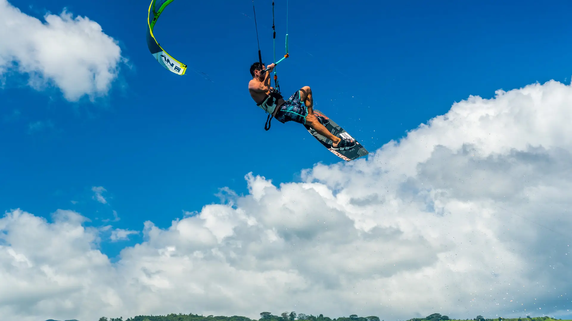 Pacific Kite