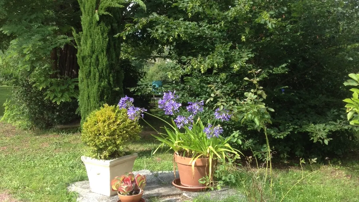 Jardin