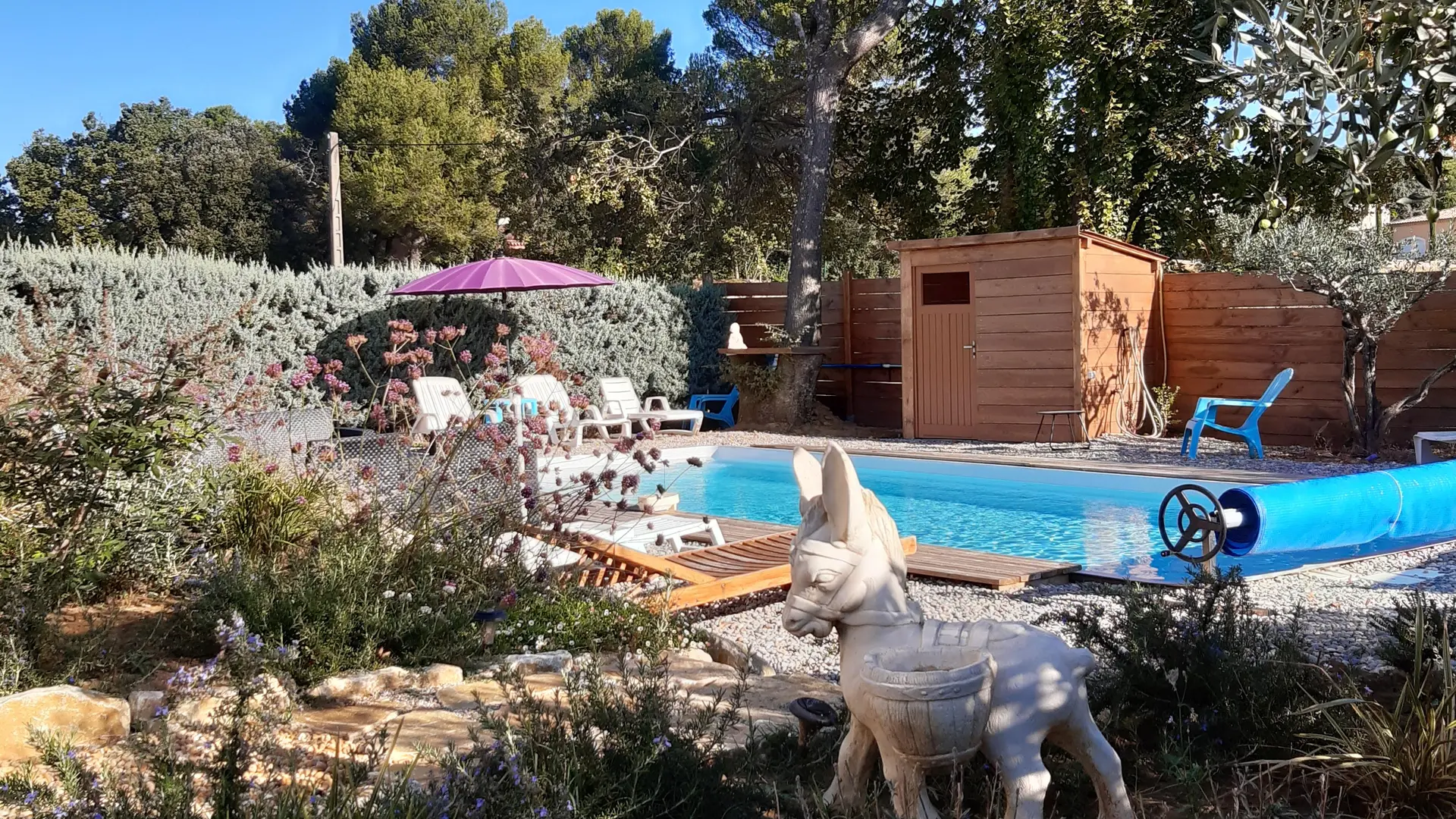 espace jardin et piscine avec transats .