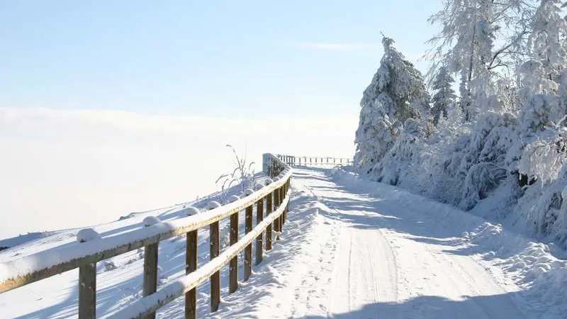 Chemin enneigé