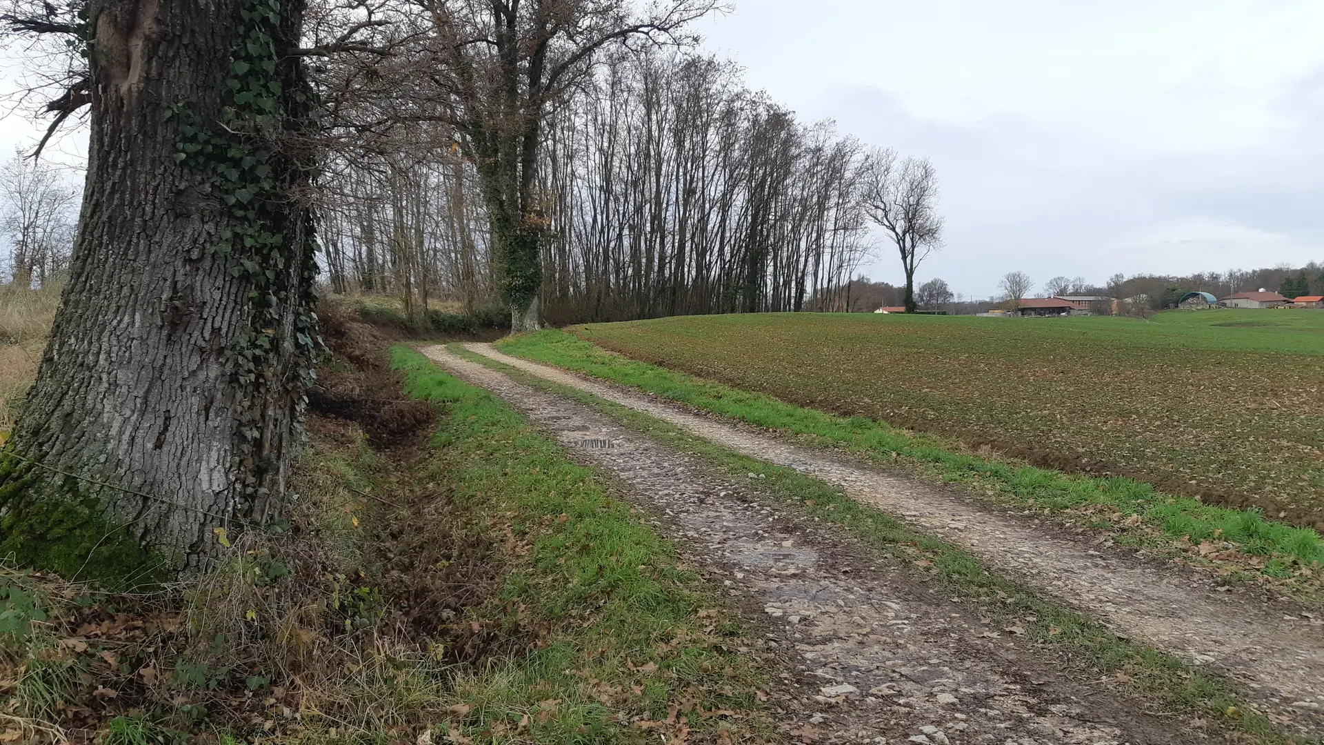 Sur les chemins de St Didier d'Aussiat