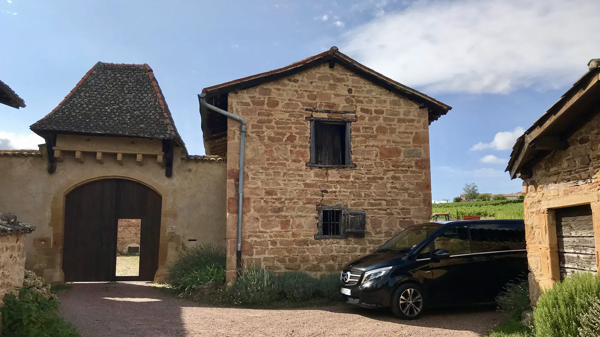 Découverte de la route des vins