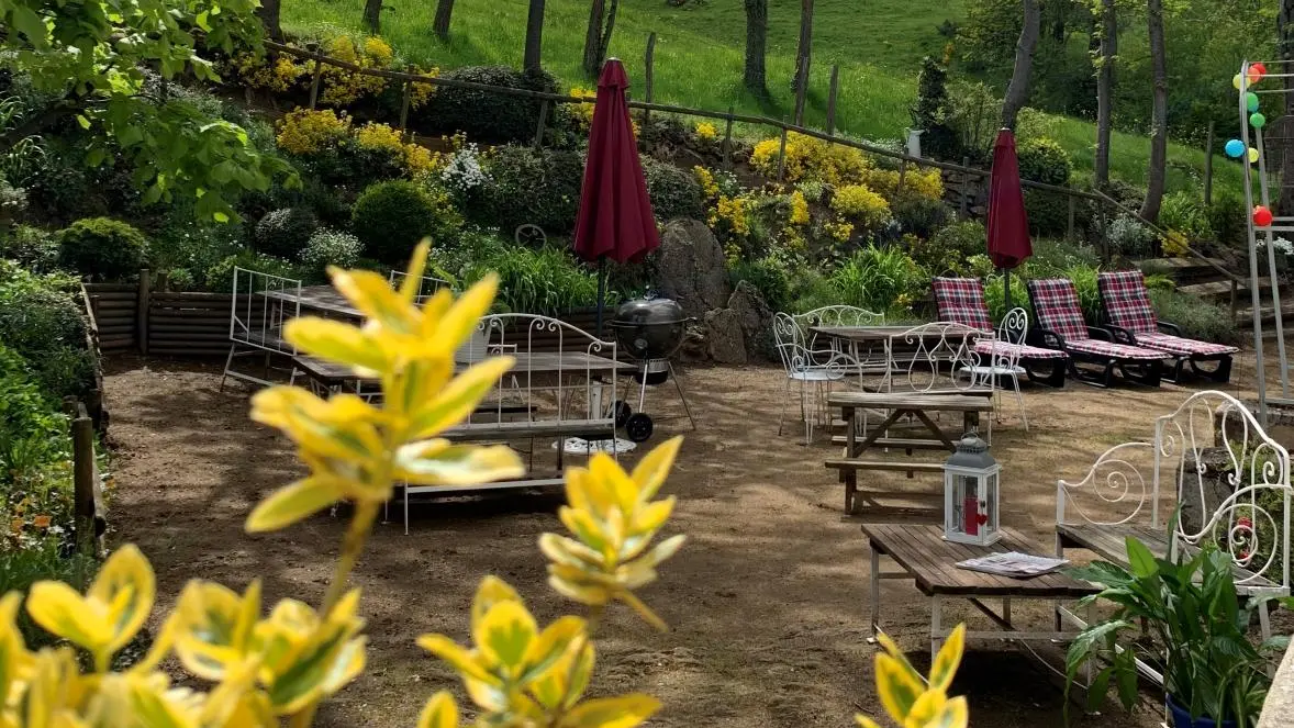 le jardin