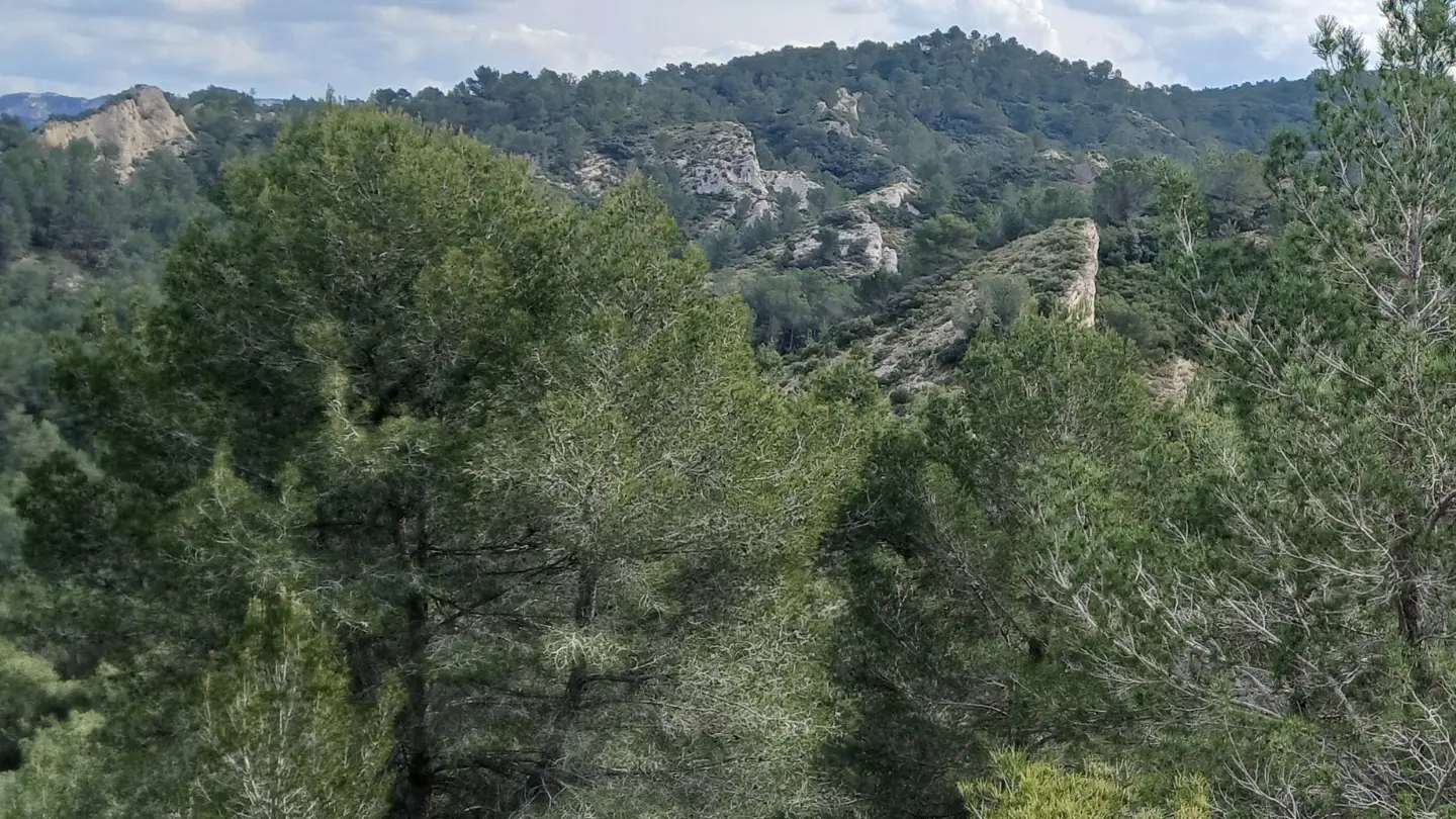 La Lèque_Saint-Rémy-de-Provence