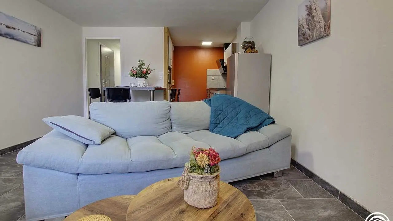 Salon , dont canapé et un  fauteuil .