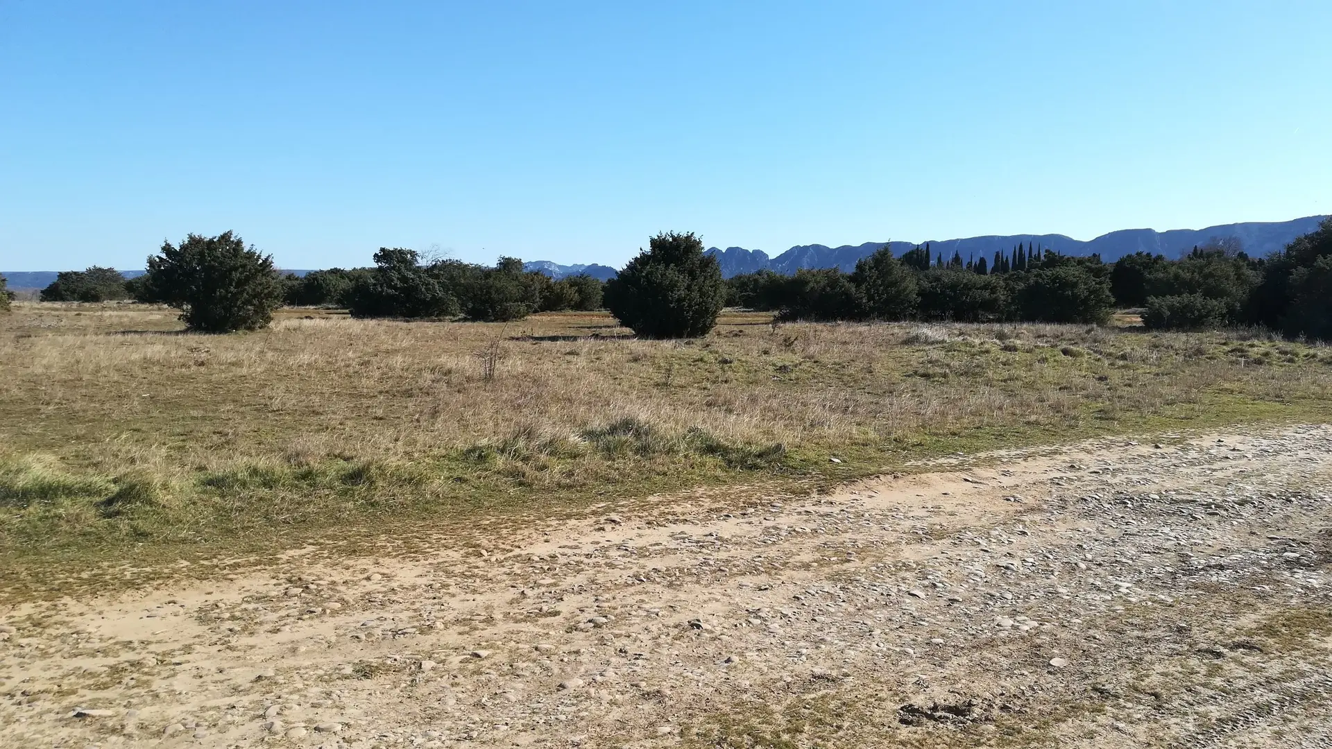 Milieu ouvert de la Petite Crau