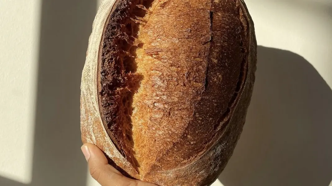 Boulangerie Terre & Blé à Saiint-Rémy-de-Provence