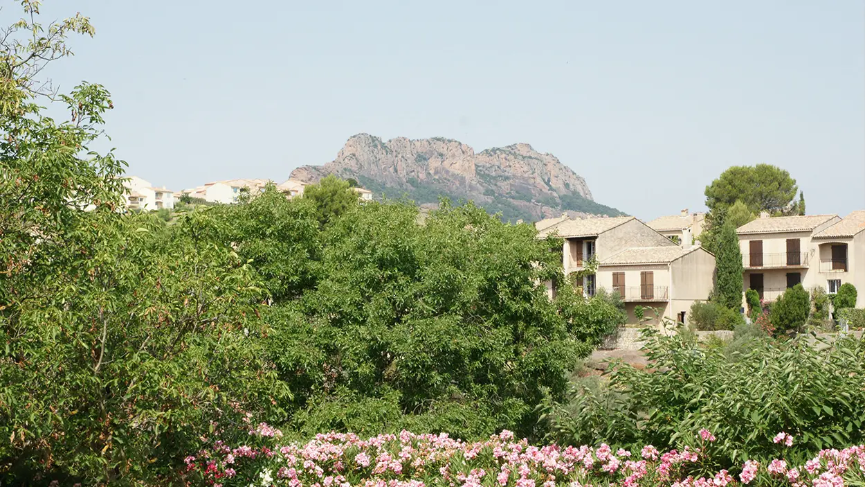 Le sentier du mimosa