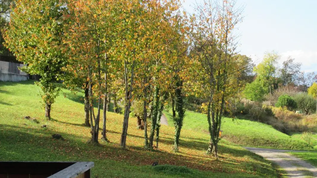 Accès au gite