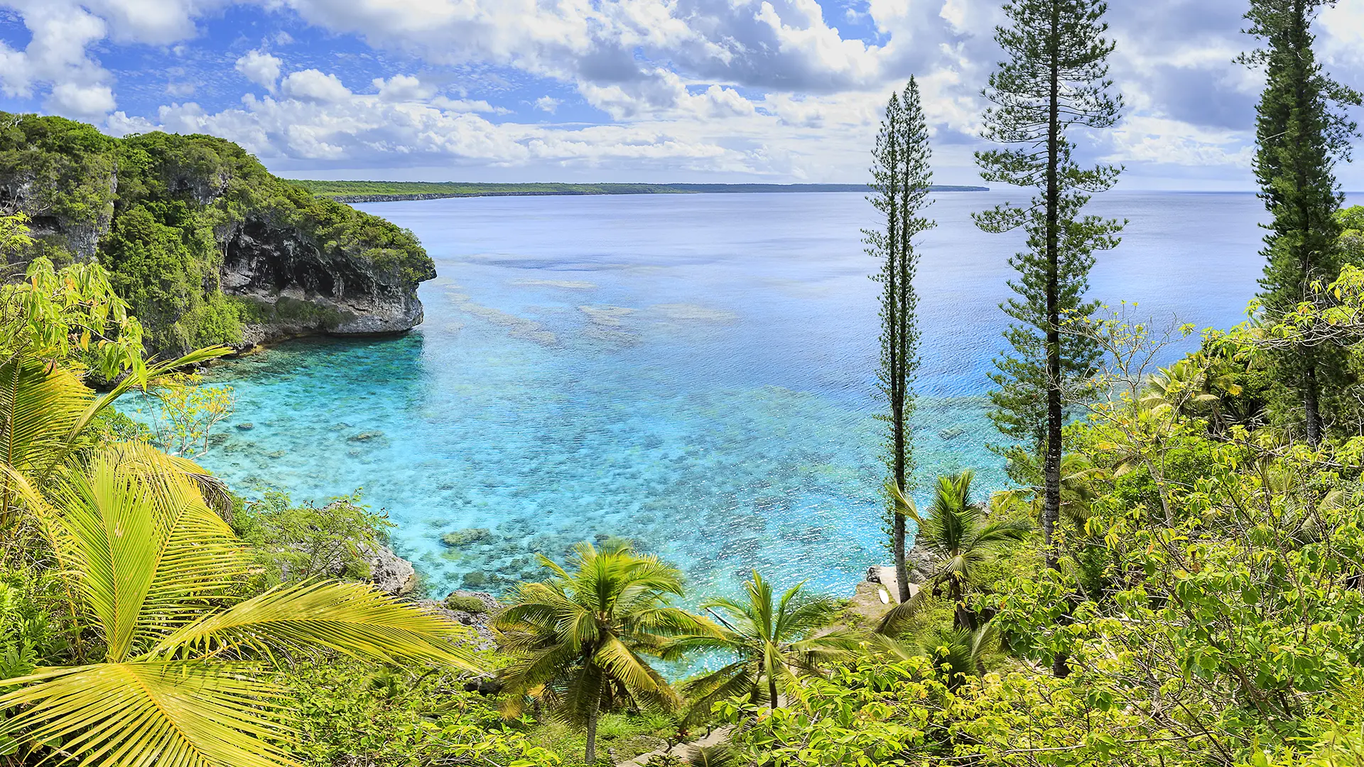 View from the top of the cliffs