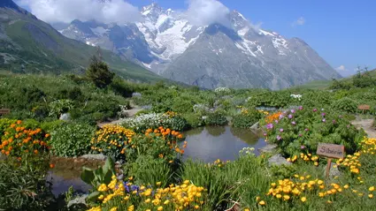 Jardin Botanique Alpin