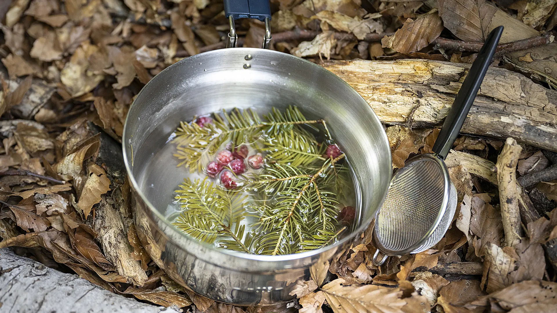 potion magique de Grandboramix