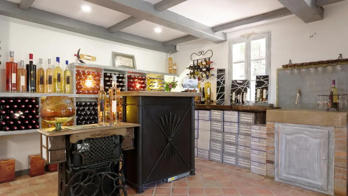 chateau de cancerilles