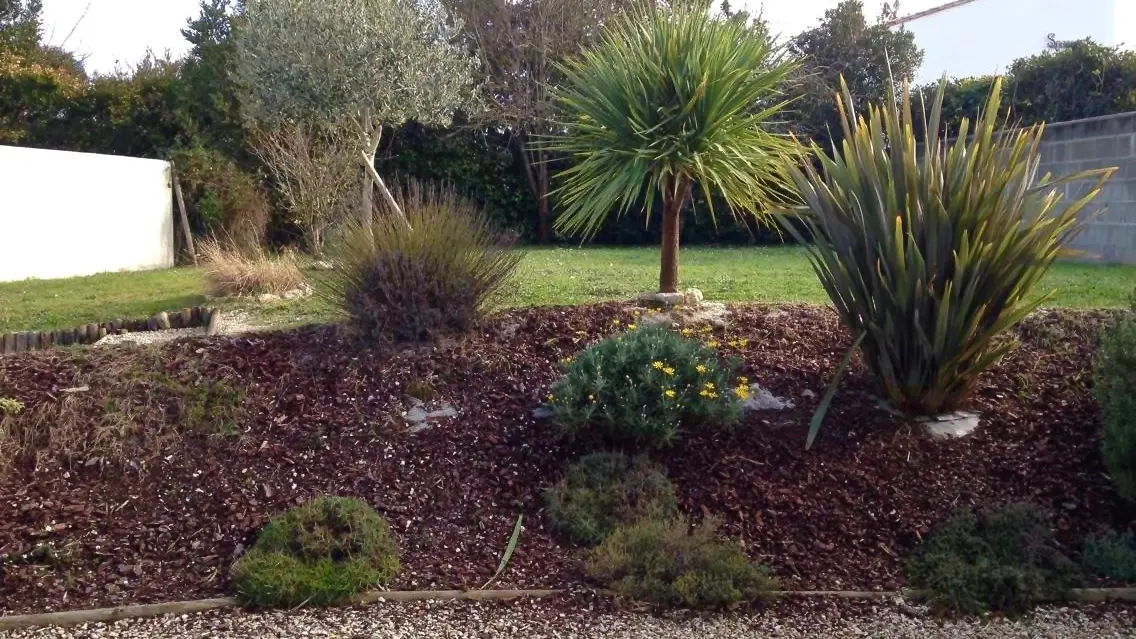 Jardin