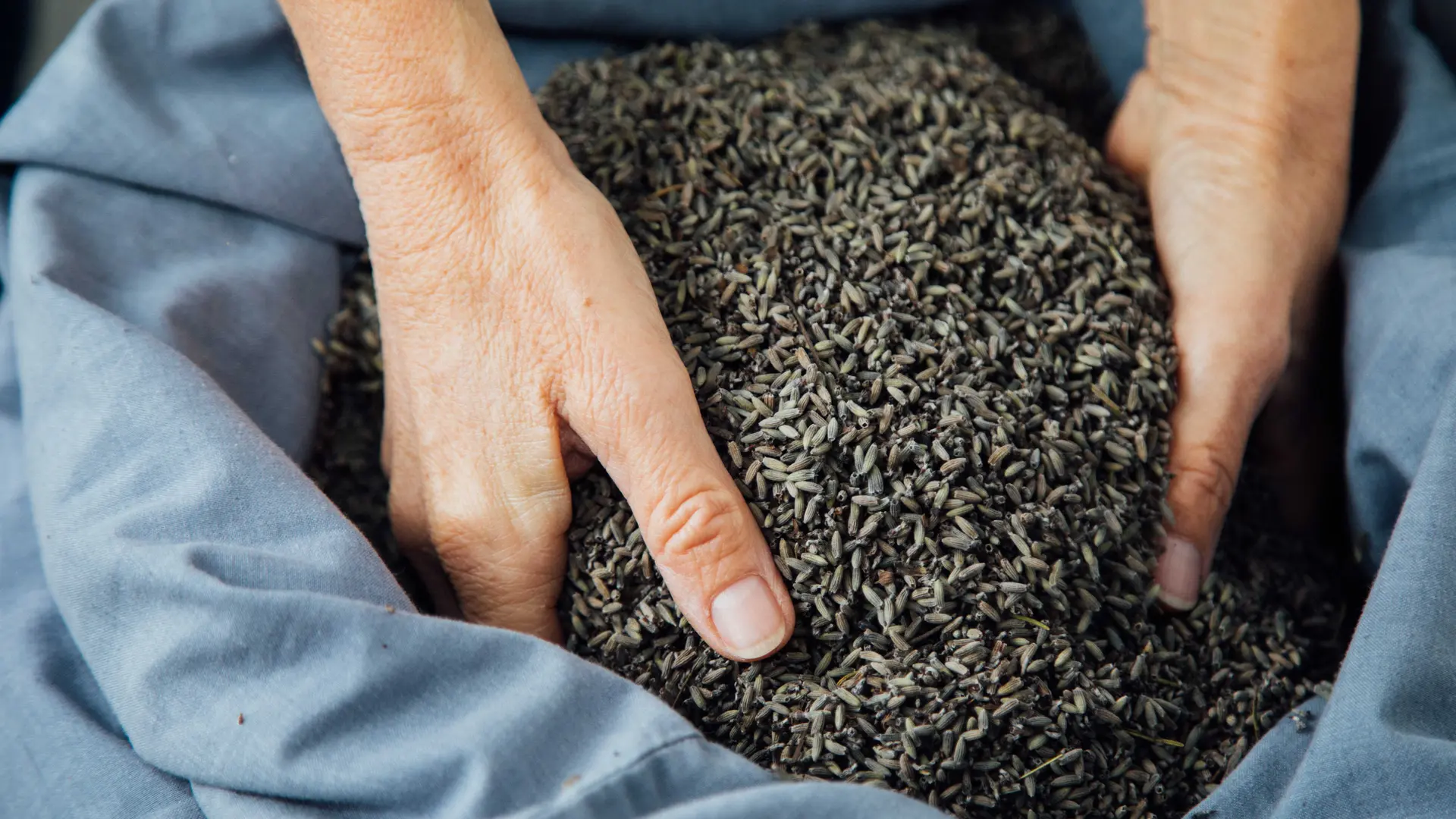 La Provence en Bouteille