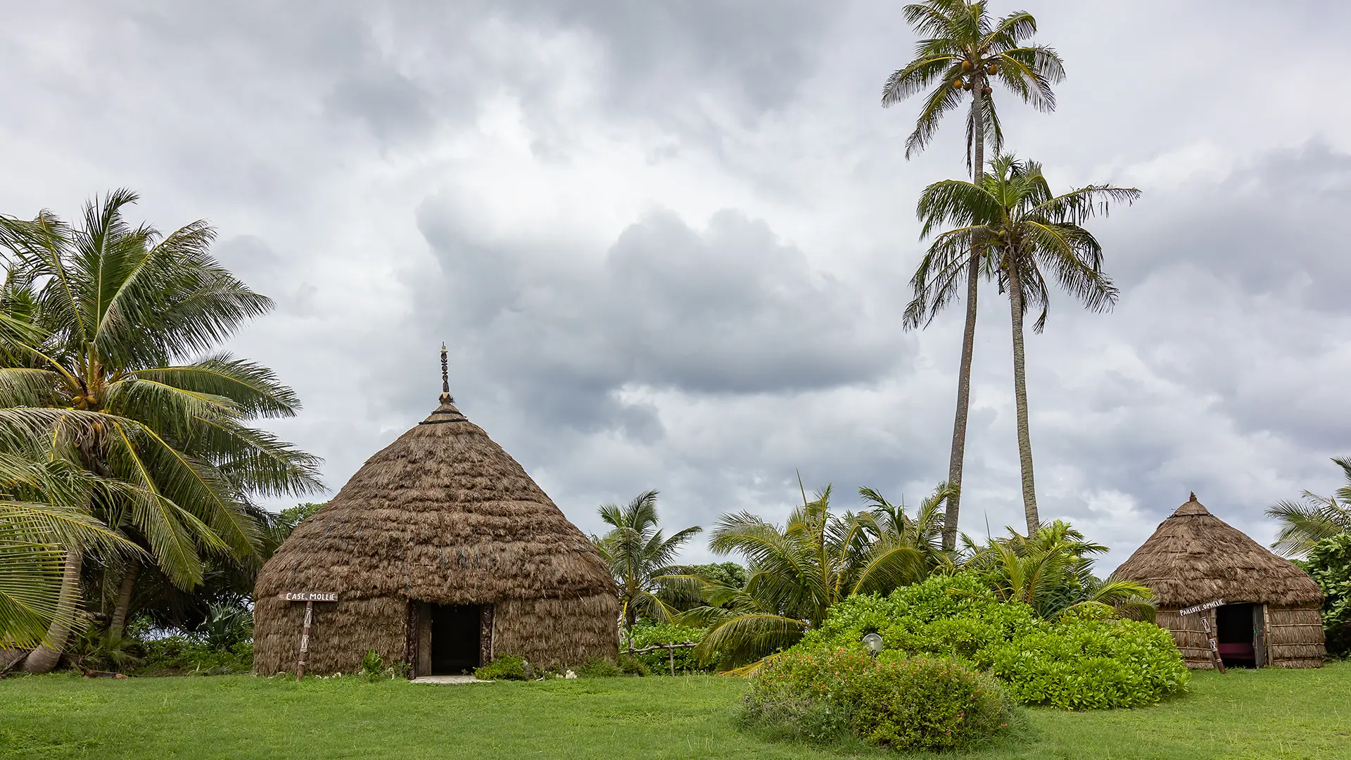 Thatched huts