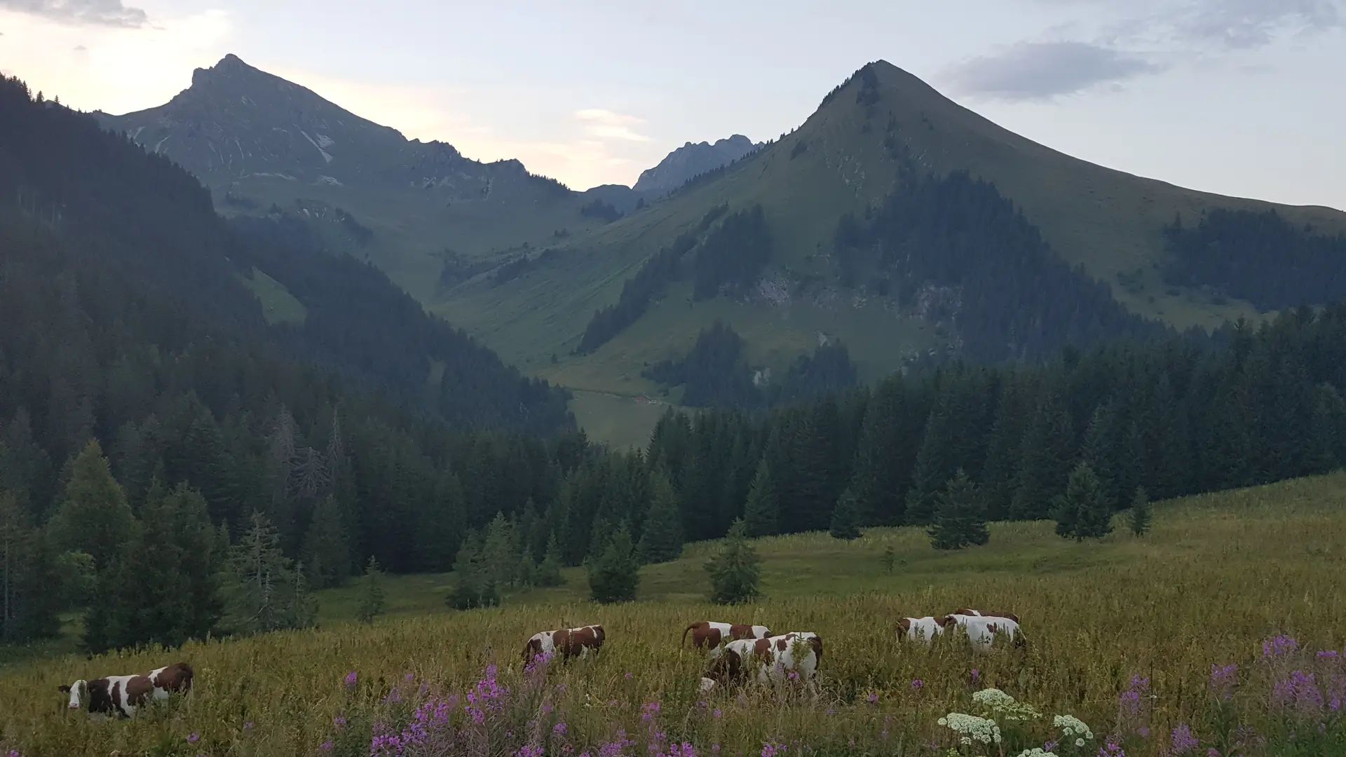 Vue en été