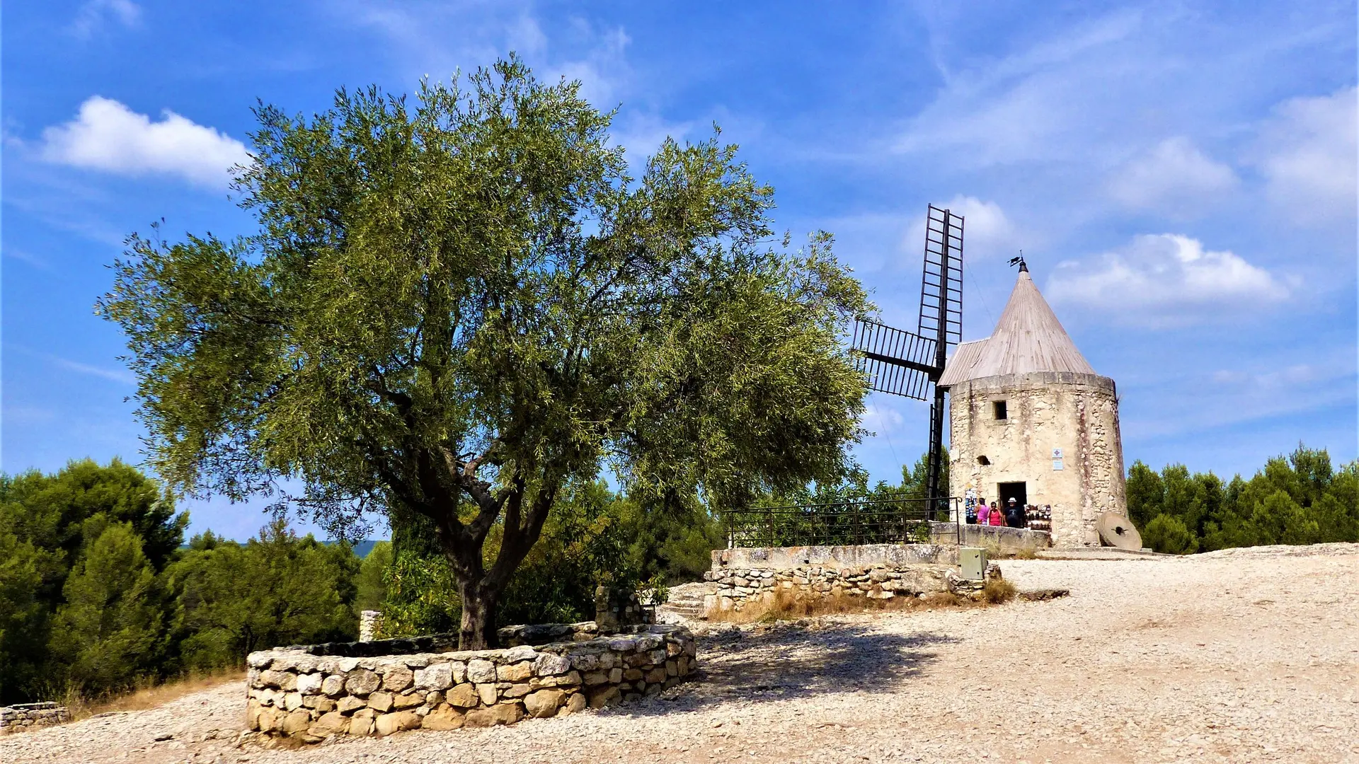Le moulin et l'olivier