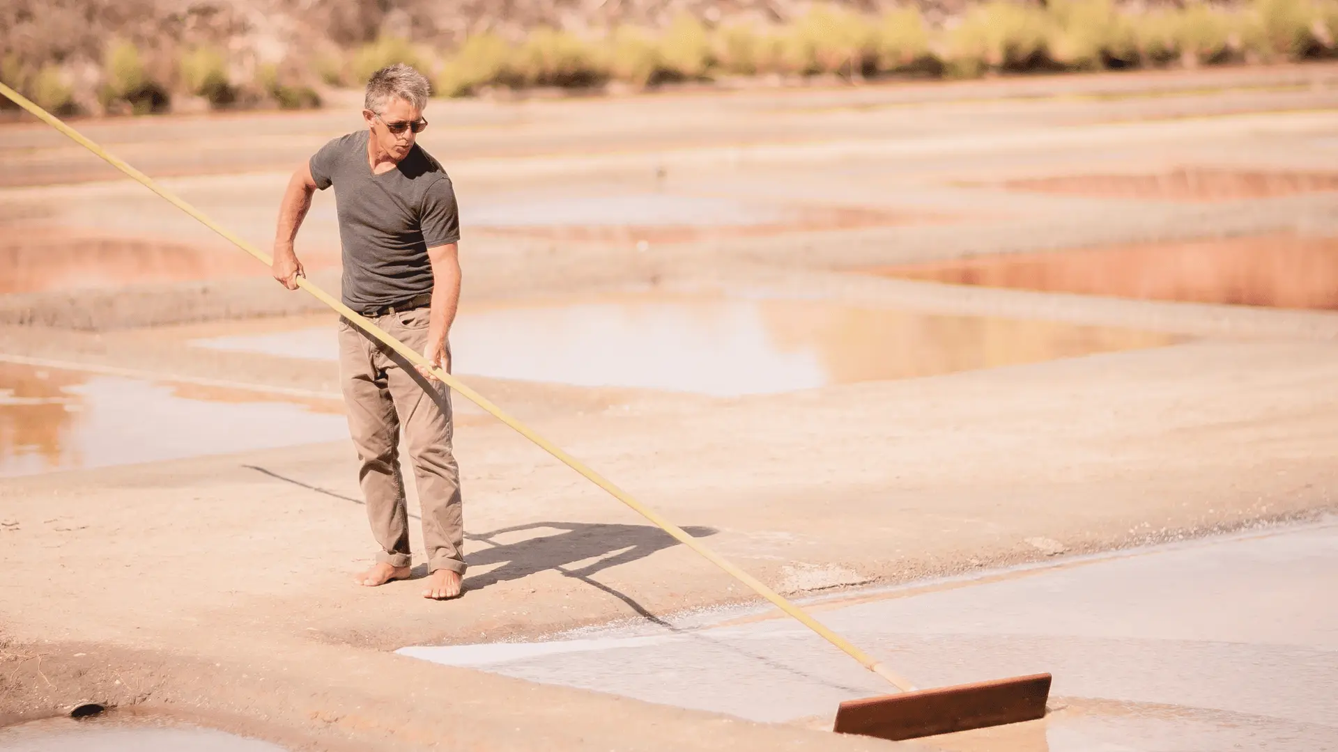 Saunier et marais salants