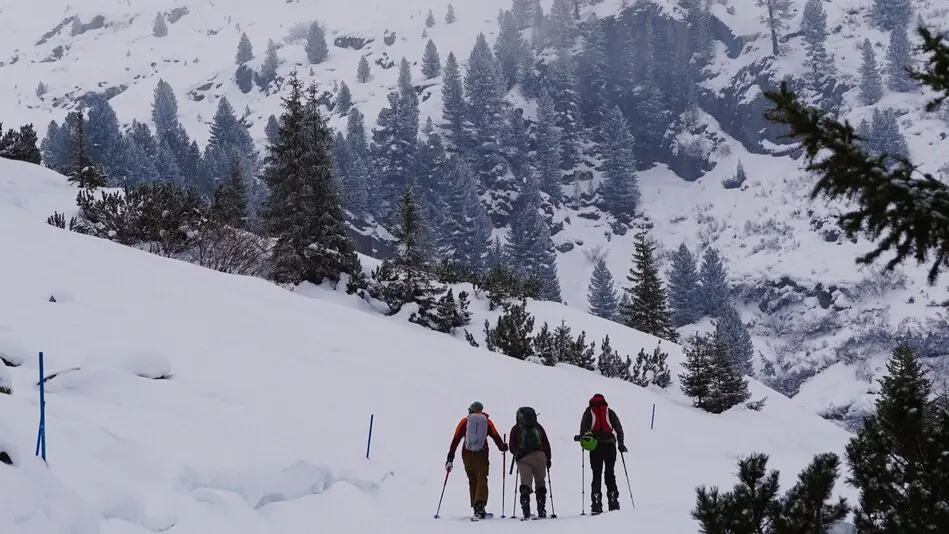 Randonnée raquettes nocturne