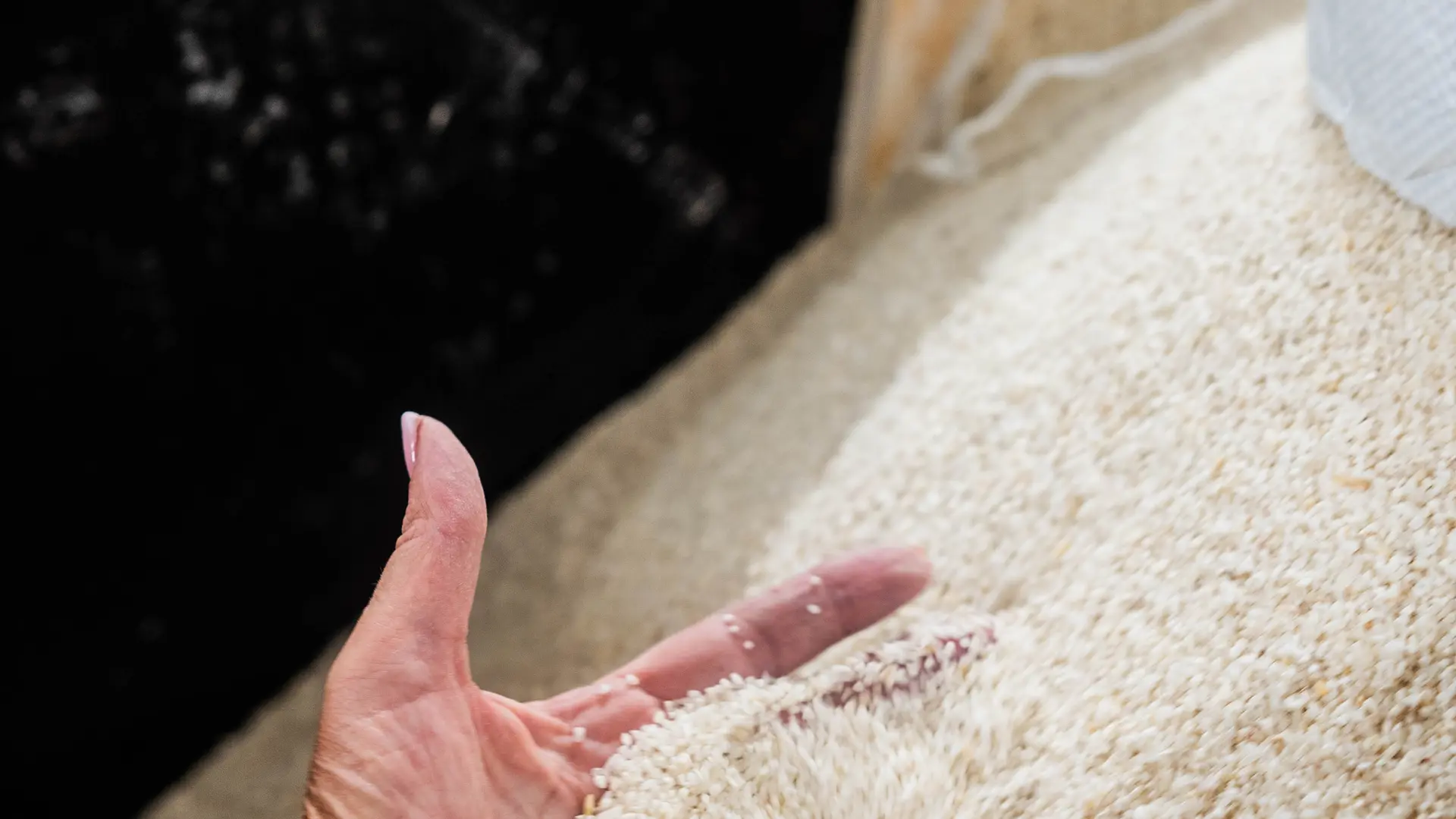 Moulin du Champ Vermeil à Annot