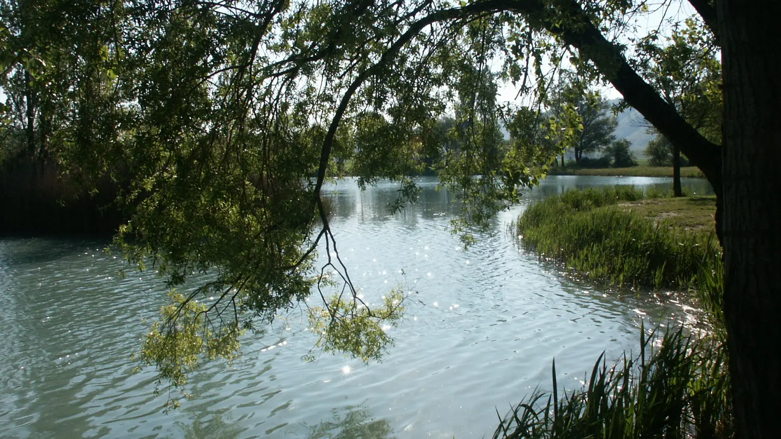 Lac de pêche des Buissonnades à Oraison