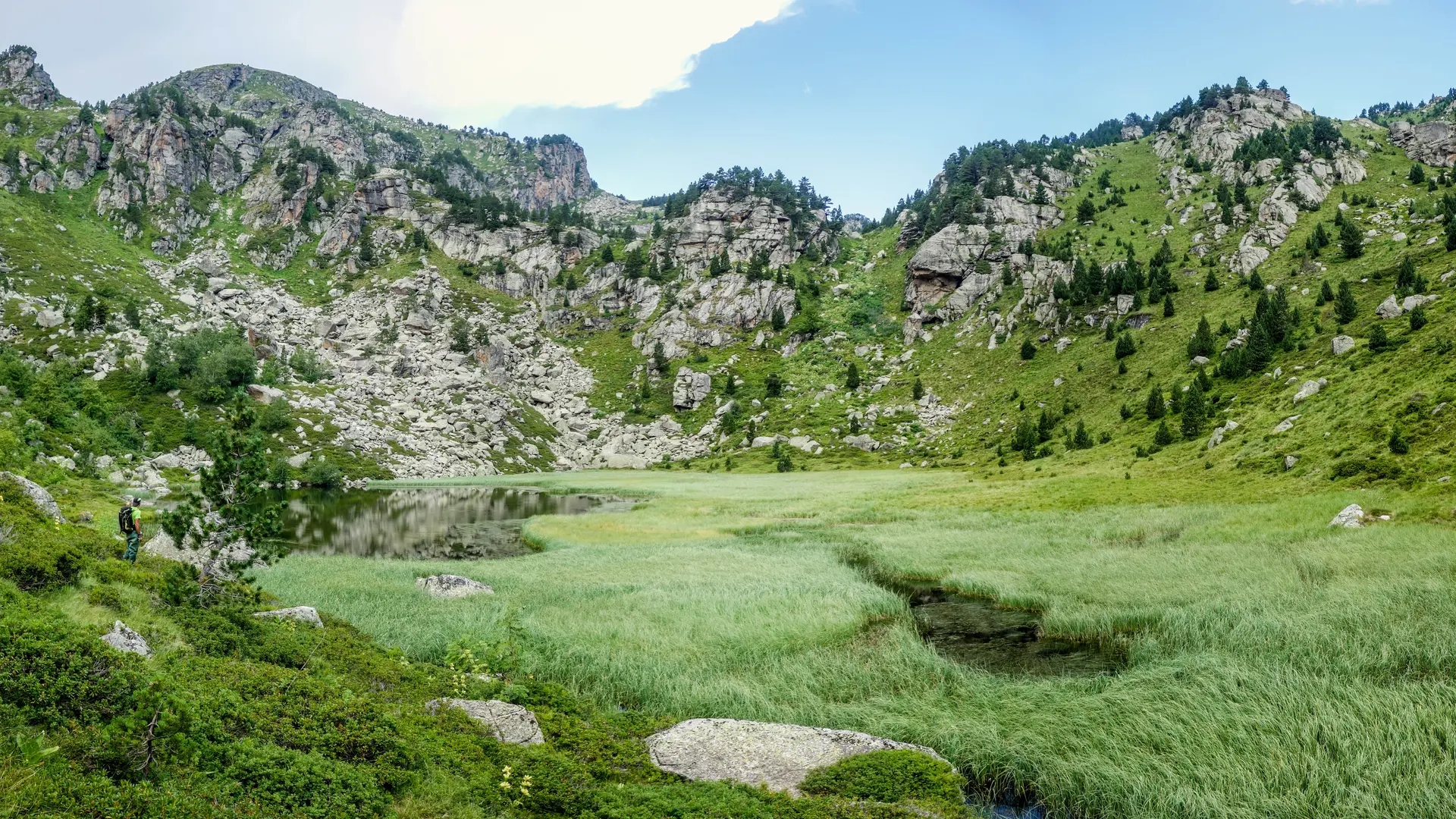 Zone humide Aston habitat d'intérêt communautaire