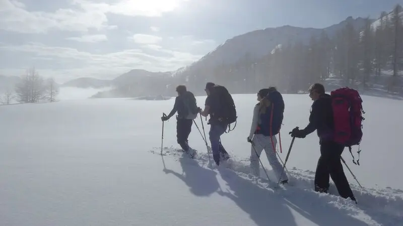 Stage survie en hiver Terres de Trek