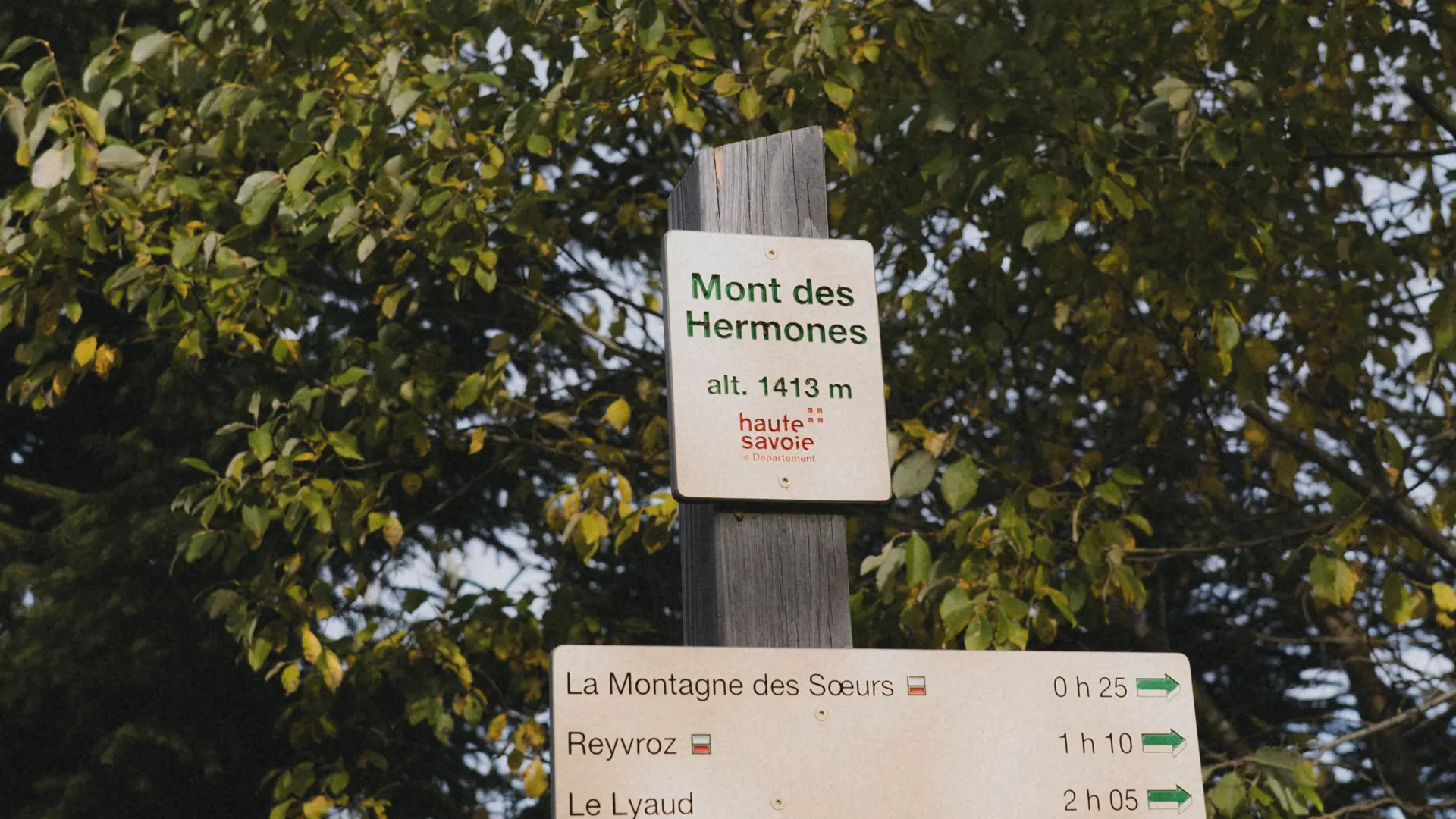 Mont des Hermones à mi-chemin Montagne des soeurs Reyvroz et Chapelle