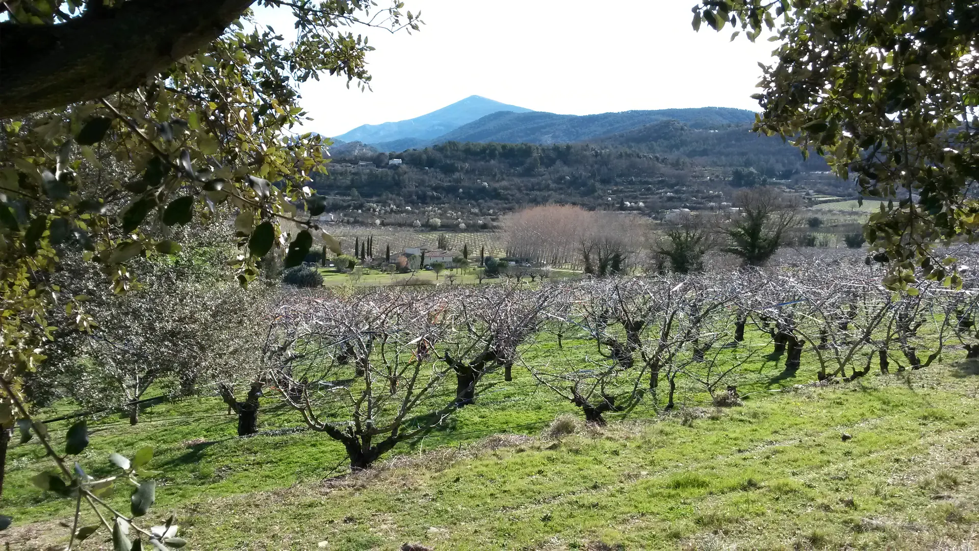 Vue sur les Cerisiers