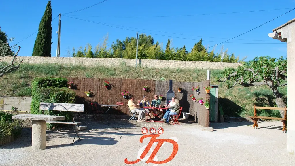 Vin - dégustation