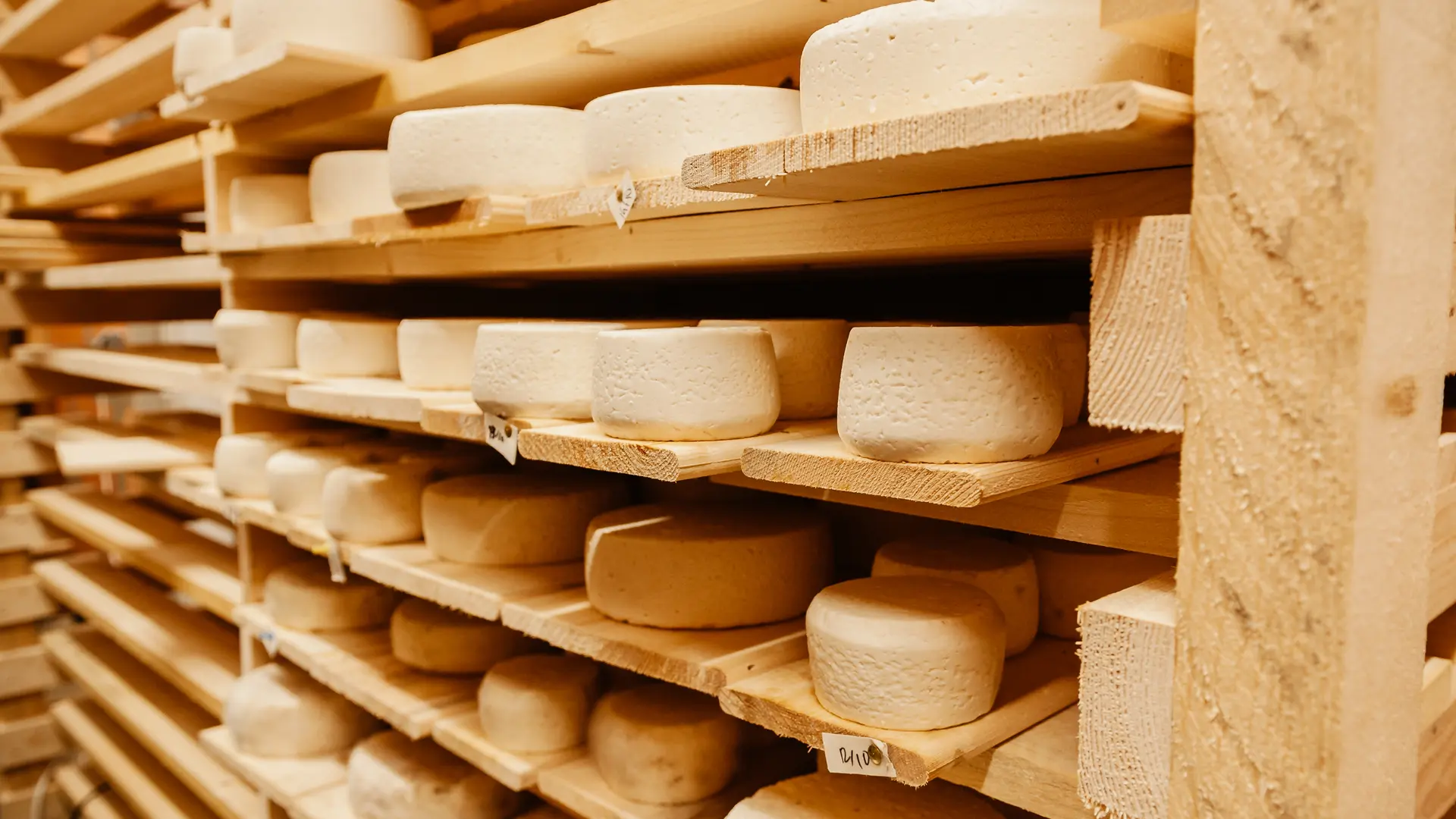 La chèvrerie de la Font Sancte_Vars