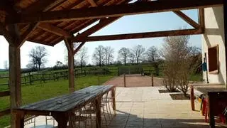 Vue champêtre depuis la terrasse
