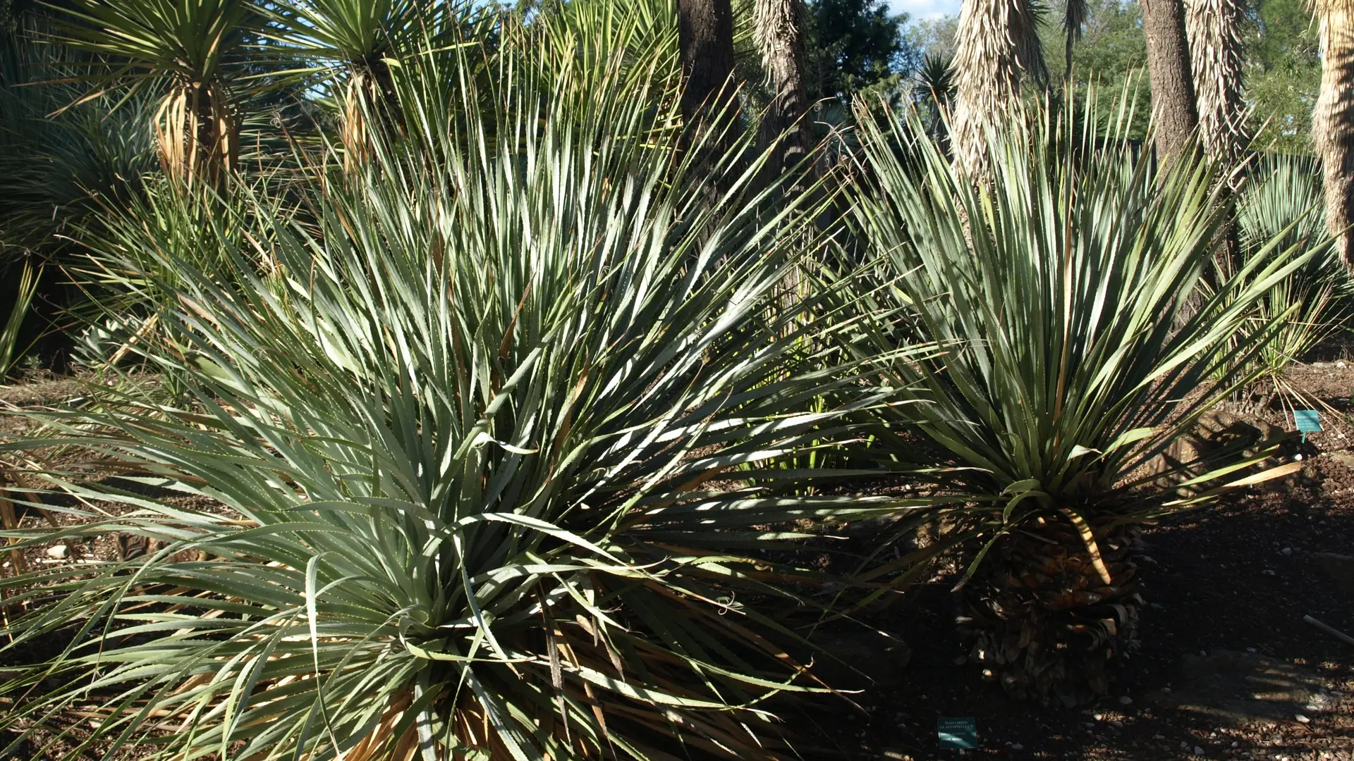 Jardin Zoologique Tropical à La londe les Maures