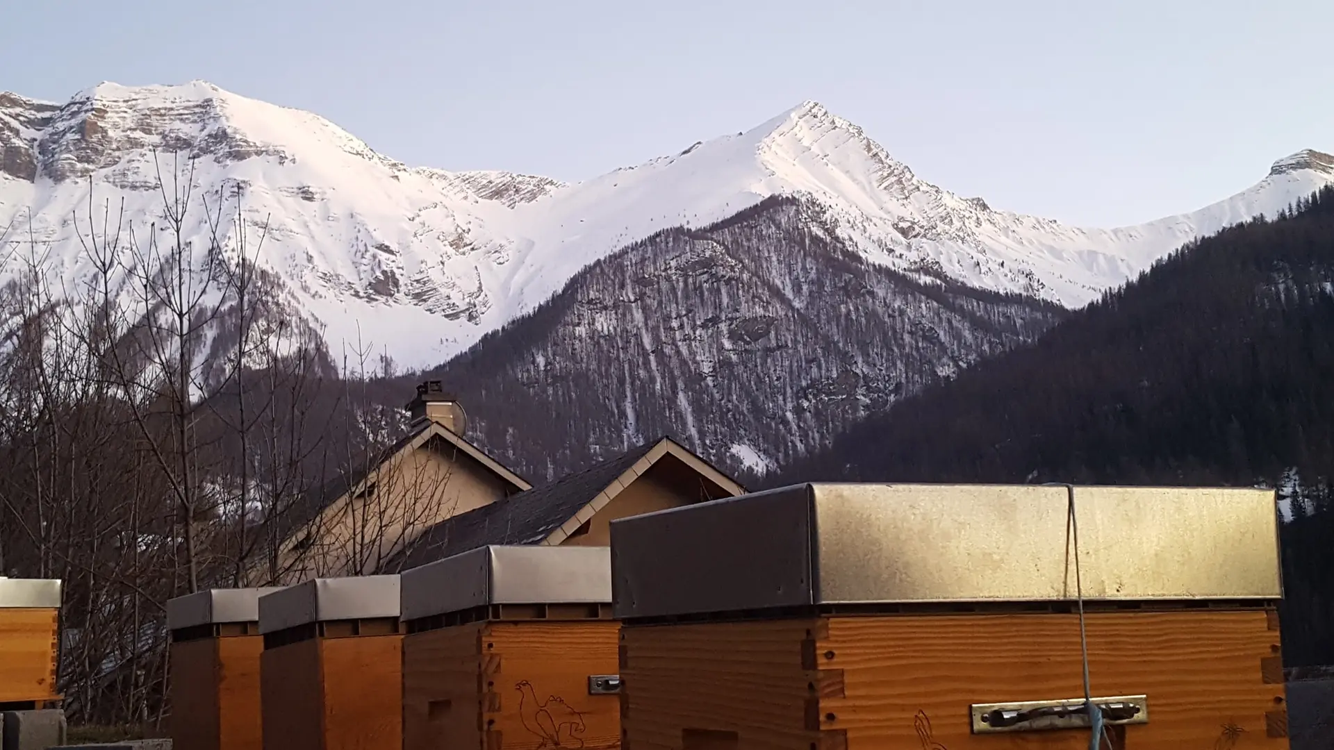 Miel Les Ruches d'Orcières