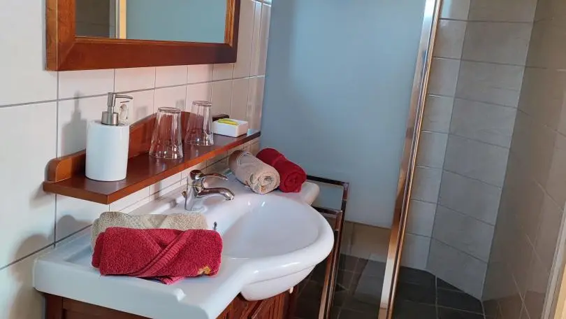 salle de bain pour la chambre pivoine douche a l'italienne avec vasque et WC.