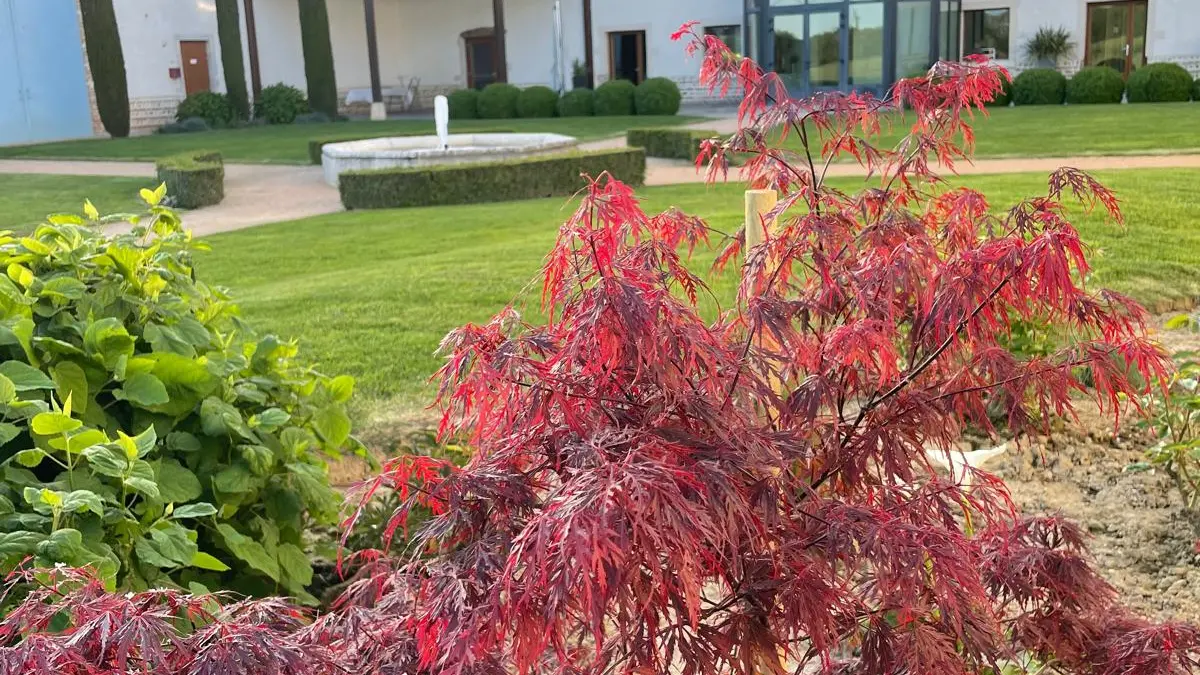 LE JARDIN