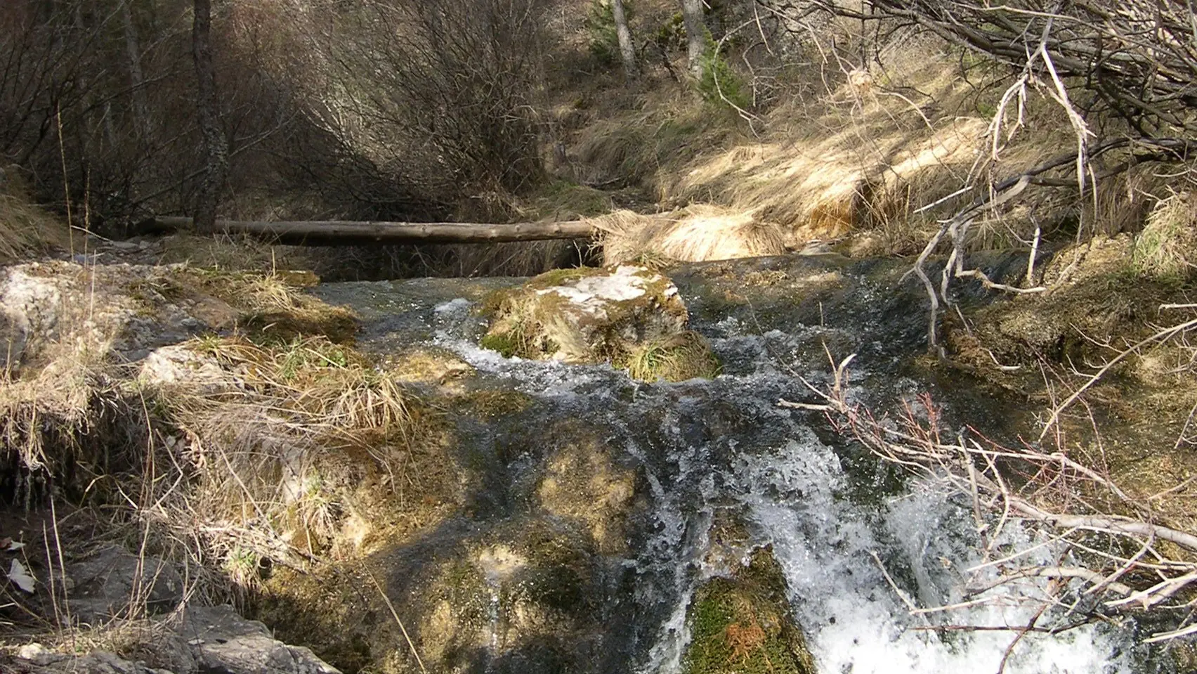 Le tour des Champons