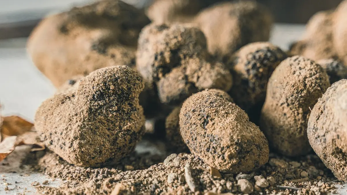 La Provence en Bouteille