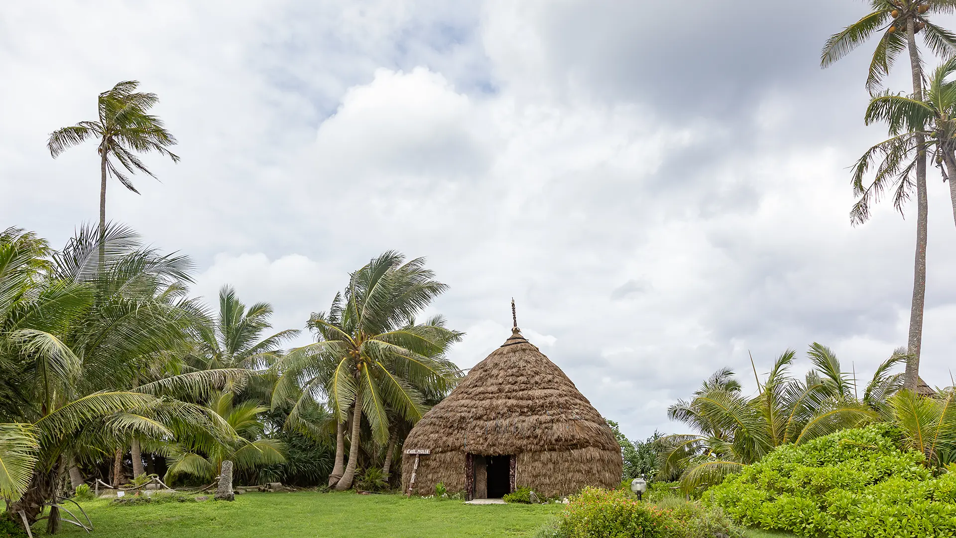 Thatched huts