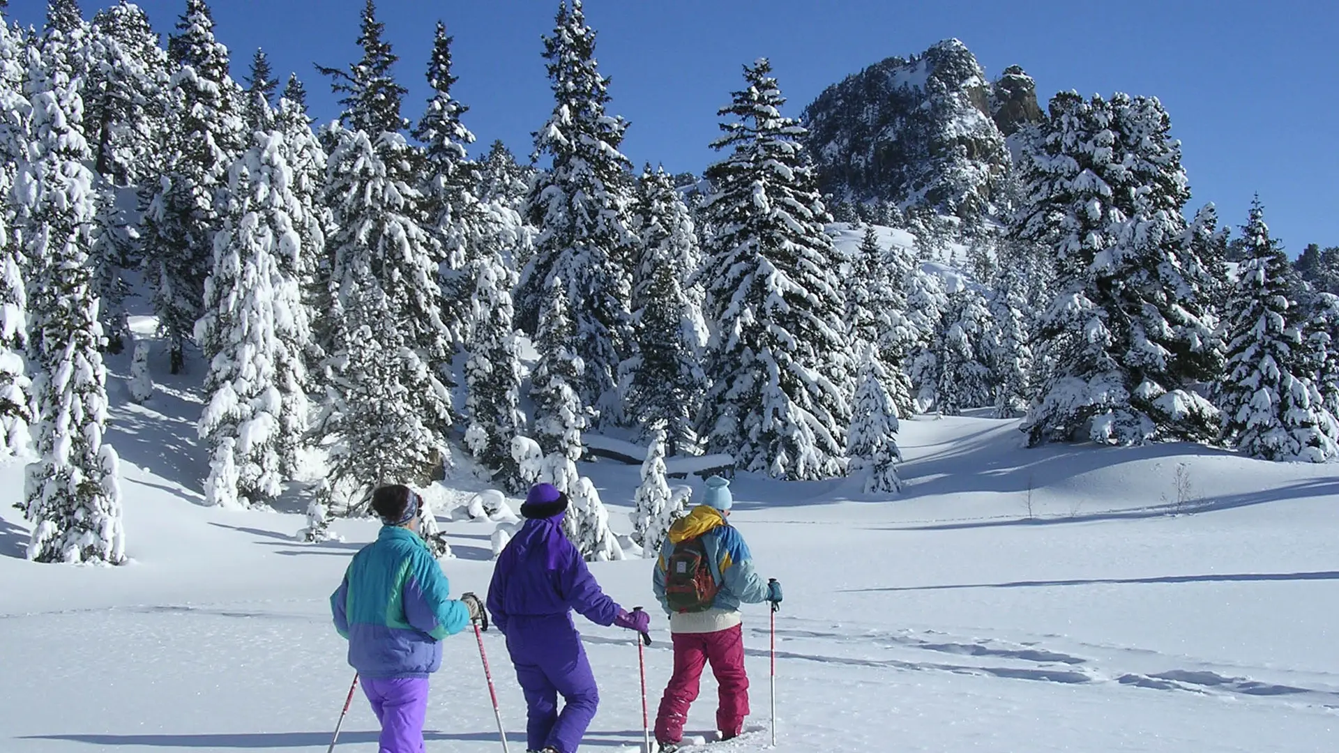 L'arboretum en raquettes