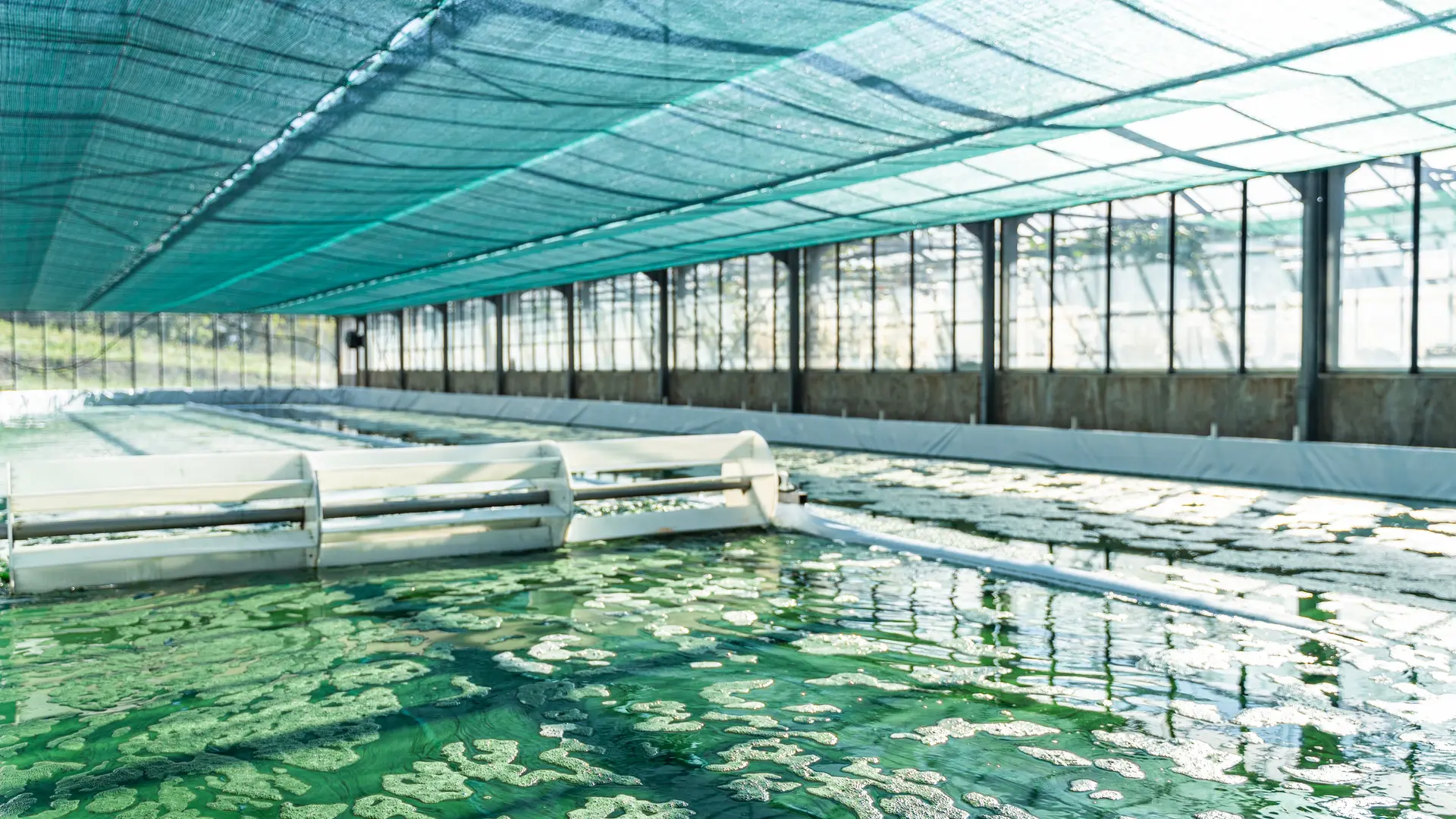 Ferme acquacole