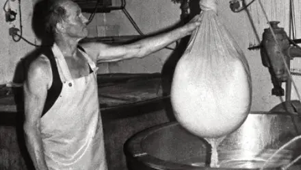 Photo en noir et blanc relevage de la meule de comté